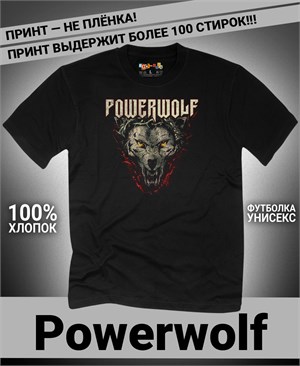 {{photo.Alt || photo.Description || 'Футболка Powerwolf-8'}}