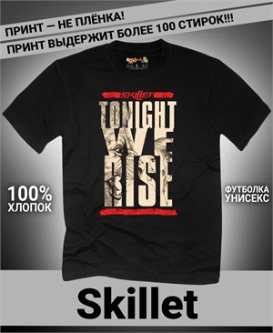 {{photo.Alt || photo.Description || 'Футболка Skillet-3'}}