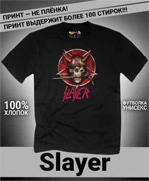 {{photo.Alt || photo.Description || 'Футболка Slayer-5'}}