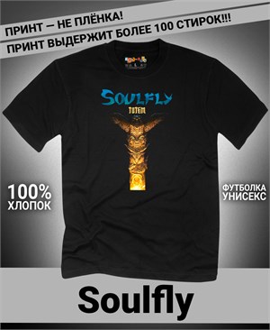 {{photo.Alt || photo.Description || 'Футболка Soulfly-2'}}