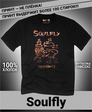 {{photo.Alt || photo.Description || 'Футболка Soulfly-3'}}