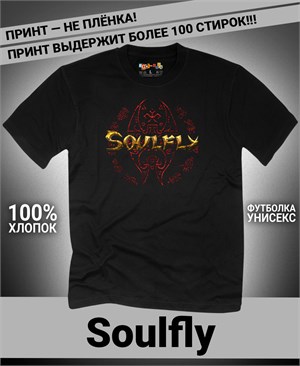 {{photo.Alt || photo.Description || 'Футболка Soulfly-4'}}