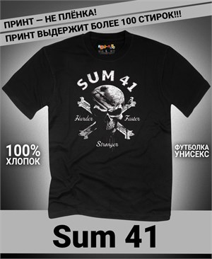{{photo.Alt || photo.Description || 'Футболка Sum 41-1'}}