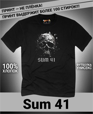 {{photo.Alt || photo.Description || 'Футболка Sum 41-3'}}