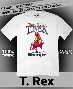 {{photo.Alt || photo.Description || 'Футболка T. Rex-4'}}