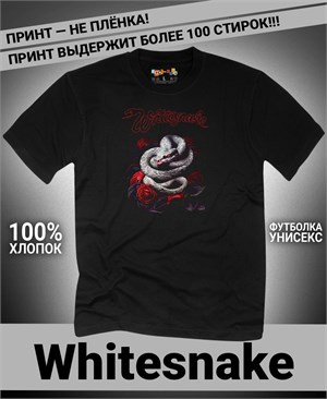 {{photo.Alt || photo.Description || 'Футболка Whitesnake-3'}}