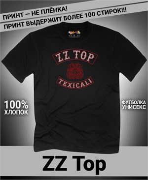 {{photo.Alt || photo.Description || 'Футболка ZZ-top-4'}}