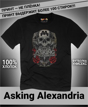 {{photo.Alt || photo.Description || 'Футболка Asking Alexandria-2'}}