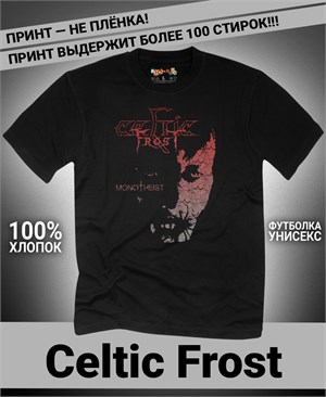 {{photo.Alt || photo.Description || 'Футболка Celtic Frost-3'}}