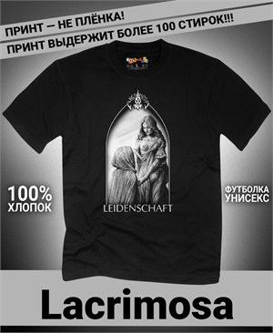 {{photo.Alt || photo.Description || 'Футболка Lacrimosa-2'}}