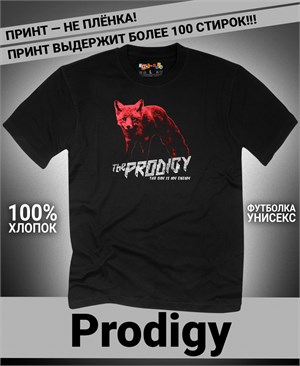 {{photo.Alt || photo.Description || 'Футболка Prodigy-18'}}