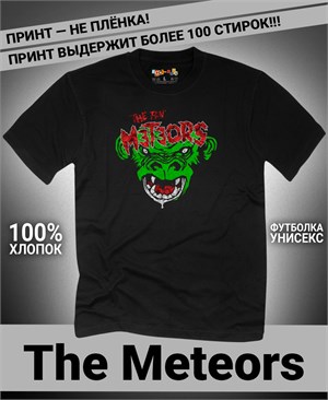 Футболка Meteors-2 meteors-2