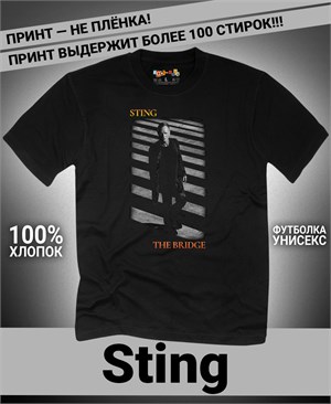 {{photo.Alt || photo.Description || 'Футболка Sting-1'}}
