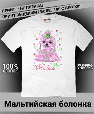 {{photo.Alt || photo.Description || 'Футболка Мальтийская болонка'}}