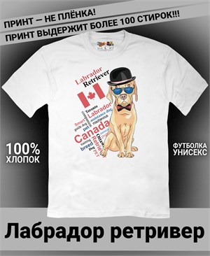 {{photo.Alt || photo.Description || 'Футболка Лабрадор ретривер'}}