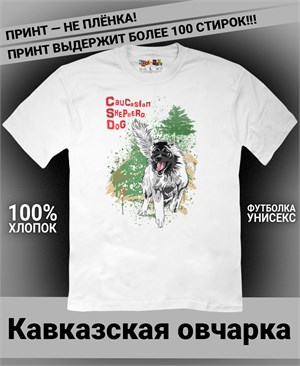 {{photo.Alt || photo.Description || 'Футболка Кавказская овчарка'}}