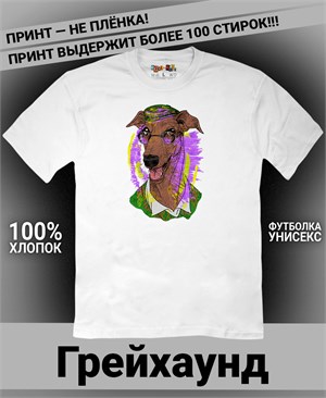 {{photo.Alt || photo.Description || 'Футболка Грейхаунд в кепи'}}