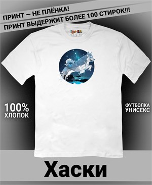 {{photo.Alt || photo.Description || 'Футболка Хаски прыгает'}}