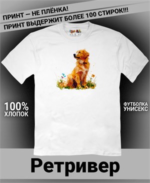 {{photo.Alt || photo.Description || 'Футболка Ретривер-1'}}