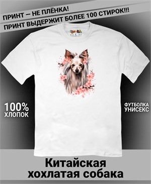 {{photo.Alt || photo.Description || 'Футболка Китайская хохлатая собака-1'}}
