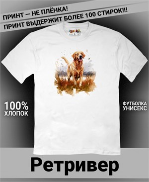 {{photo.Alt || photo.Description || 'Футболка Ретривер-2'}}