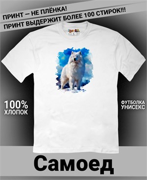 {{photo.Alt || photo.Description || 'Футболка Самоед'}}