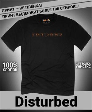 {{photo.Alt || photo.Description || 'Футболка Disturbed-7'}}