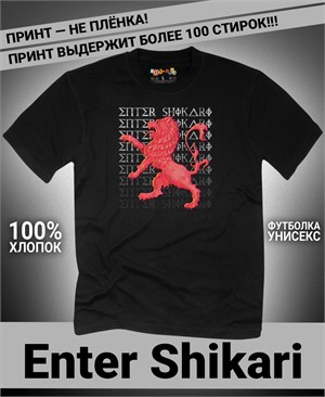 {{photo.Alt || photo.Description || 'Футболка Enter Shikari-4'}}