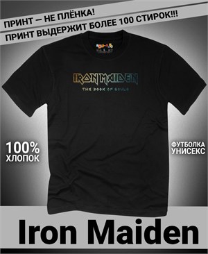 {{photo.Alt || photo.Description || 'Футболка Iron Maiden-6'}}