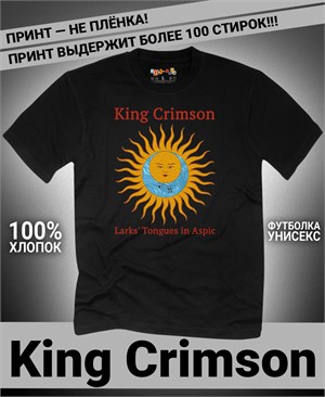 {{photo.Alt || photo.Description || 'Футболка King Crimson-1'}}