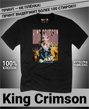 {{photo.Alt || photo.Description || 'Футболка King Crimson-3'}}