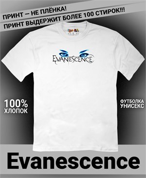 Футболка Evanescence-1 evanescence-1