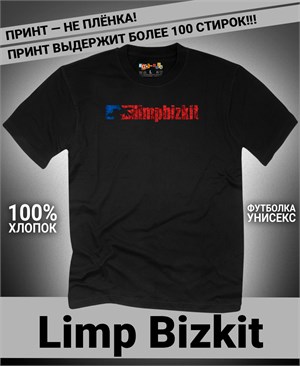 {{photo.Alt || photo.Description || 'Футболка Limp Bizkit-1'}}