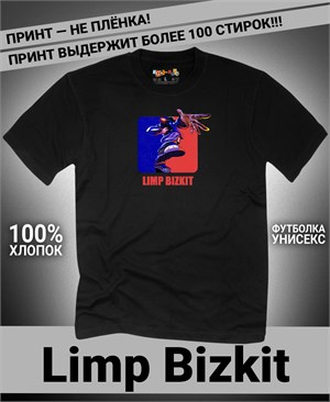 {{photo.Alt || photo.Description || 'Футболка Limp Bizkit-4'}}