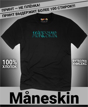 {{photo.Alt || photo.Description || 'Футболка Maneskin-2'}}