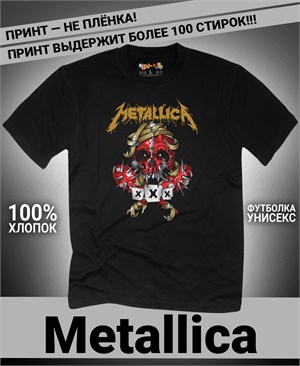 {{photo.Alt || photo.Description || 'Футболка Metallica-10'}}