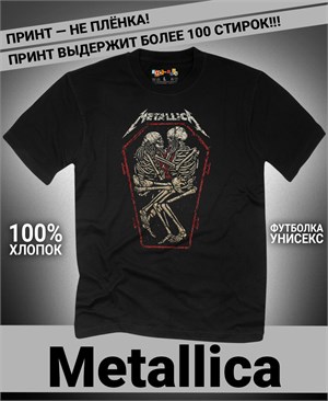 {{photo.Alt || photo.Description || 'Футболка Metallica-19'}}