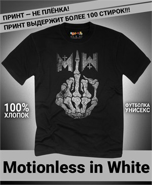 {{photo.Alt || photo.Description || 'Футболка Motionless in White-14'}}