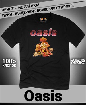 {{photo.Alt || photo.Description || 'Футболка Oasis-4'}}
