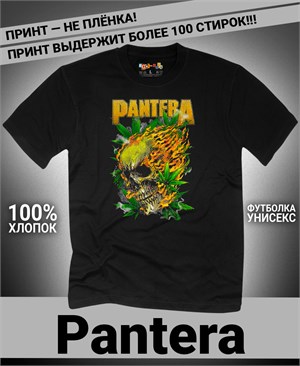 {{photo.Alt || photo.Description || 'Футболка Pantera-8'}}