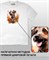 Футболка Дворняга-2 dog-8-IP - фото 17789